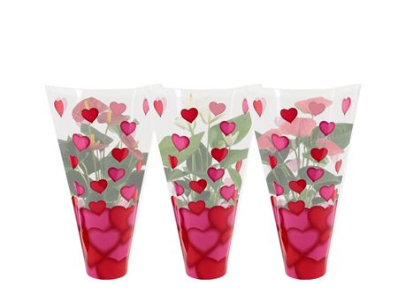 Anth An Mix 4+ In Heart Sleeve