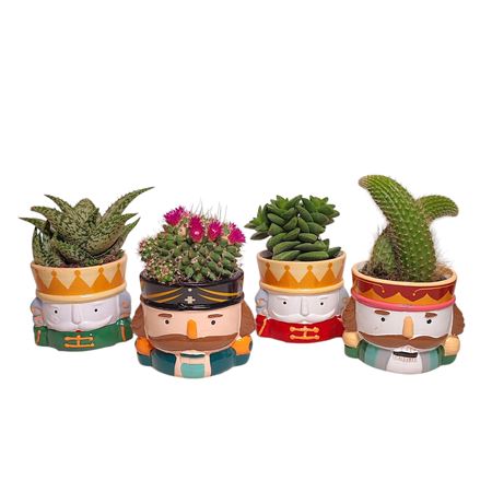 Cactus And Succulent Mix Nutcracker Ceramic