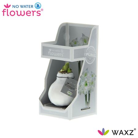 Hipp Wax White In Gift Box