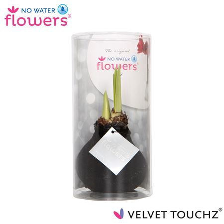 Hipp Wax Velvet Black In Tube