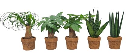 Kokopot Groen Mix 3 Sorts