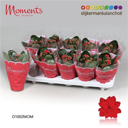 Kal Cal Moments Secret Red