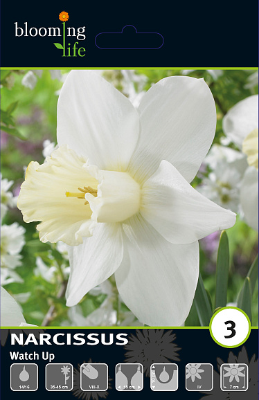 Нарцисс крупнокорончатый Воч Ап