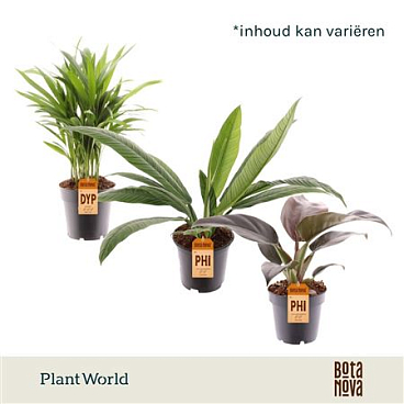 Plantmix Island Saver