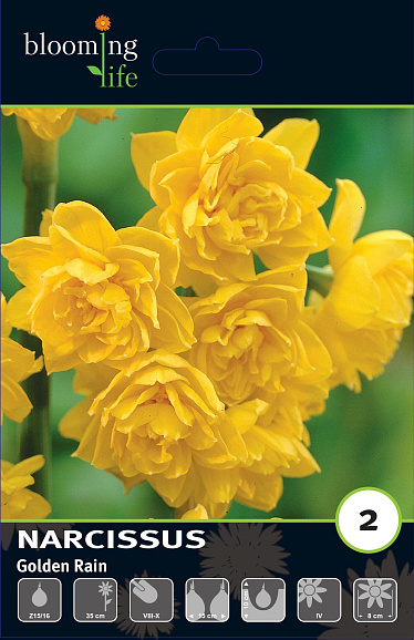 Нарцисс махровый Голден Рейн