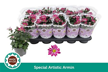 Chrys Special Artistic Armin