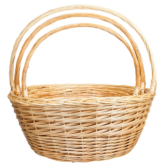 Чубушник Пионер