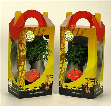 Bonsai Mix In Chinese Valentin