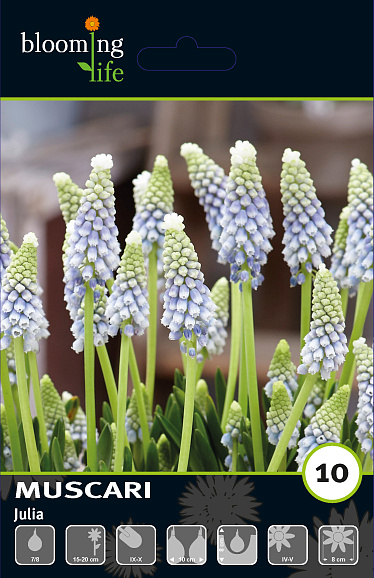 Мускари Джулия
