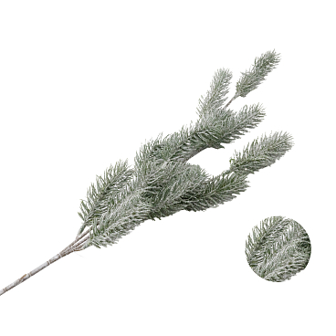 Рододендрон гибридный Кролова Бона