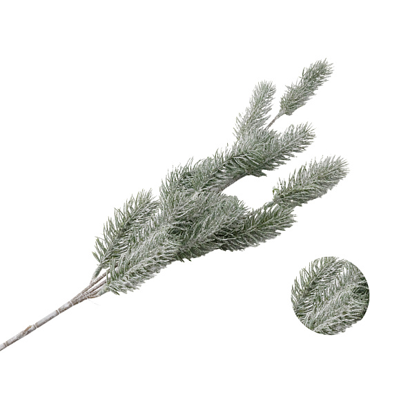 Рододендрон гибридный Кролова Бона