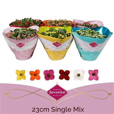 Kal Single Mix In Bowl
