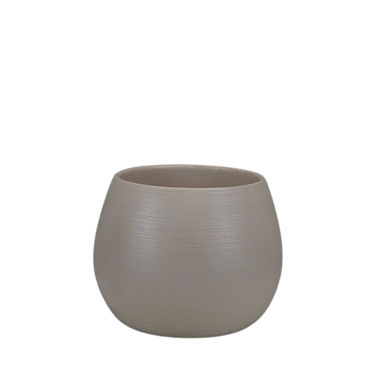 Клематис цельнолистный Пантер