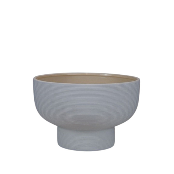 Клематис цельнолистный Хакури