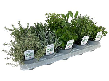 Herb Mix
