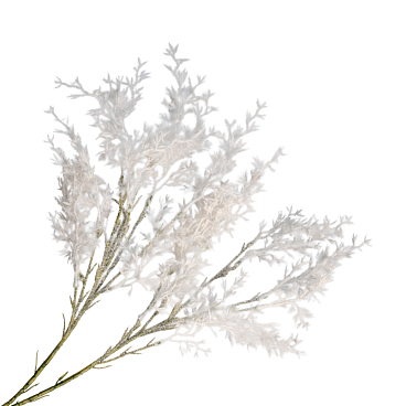 Сирень обыкновенная Иван Огнев