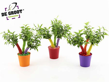 Ficus Be Crazy Tree Summerstyle