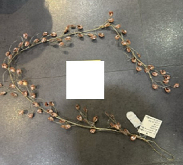 Рододендрон гибридный Похьёлас Доте