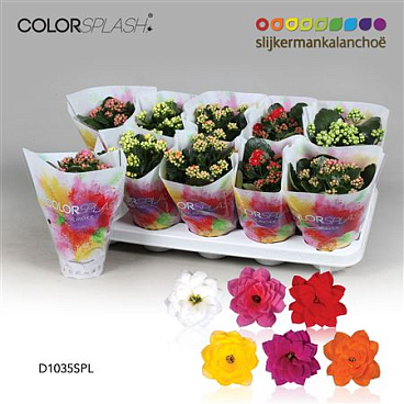 Kal Cal Splash Mix
