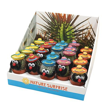 Mexican Cactus Showbow