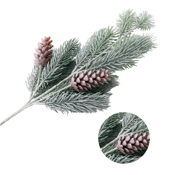 Рододендрон гибридный Казимир Велки