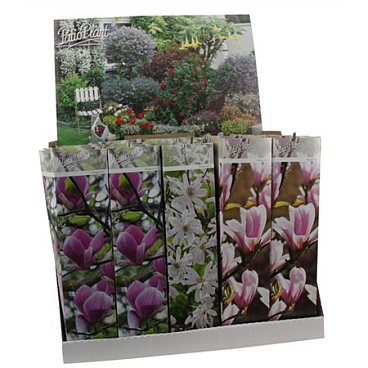 Magnolia Mix