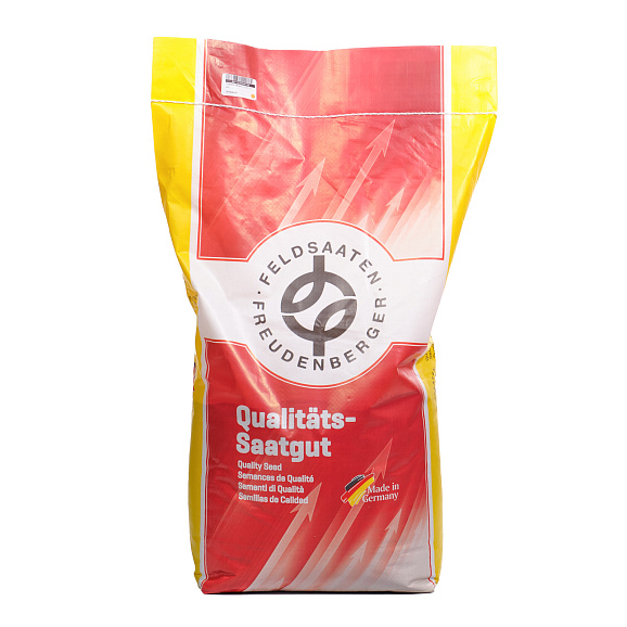 Клевер белый | Оптовая цветочная компания «Флора Групп» Клевер белый