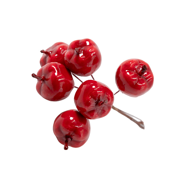 Рододендрон гибридный Тореро | Оптовая цветочная компания «Флора Групп» Рододендрон гибридный Тореро