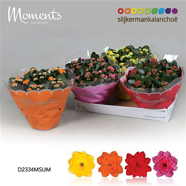 Kal Cal Moments Summer Mix