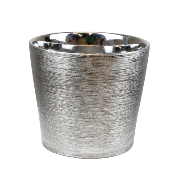 Гортензия пильчатая Барка