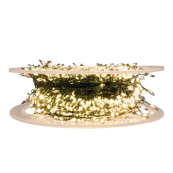 Рододендрон гибридный Энн Линдсей