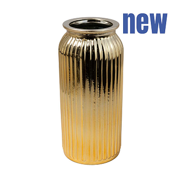 Можжевельник обыкновенный Голд Кон