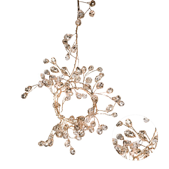 Ель обыкновенная Акрокона