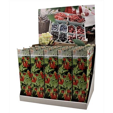 Goji Superfruit