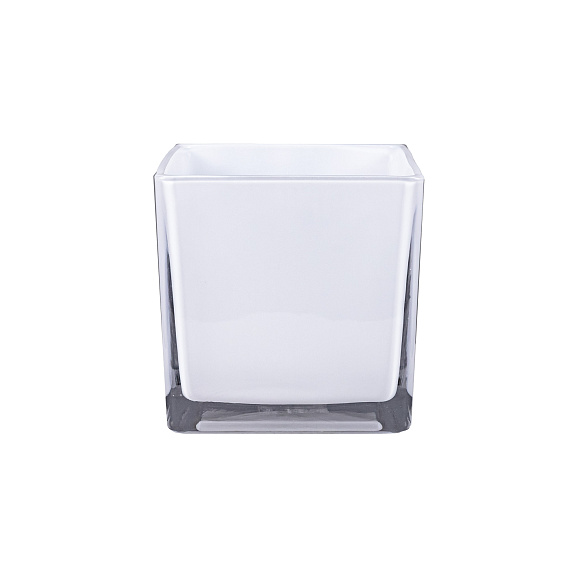 Роза флорибунда Ментор Роз