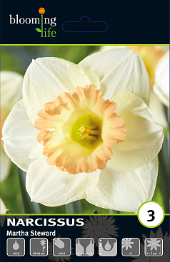 Нарцисс крупнокорончатый Марта Стьворд | Оптовая цветочная компания «Флора Групп» Нарцисс крупнокорончатый Марта Стьворд