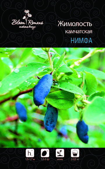 Жимолость камчатская Нимфа