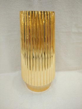 Можжевельник средний Блю Энд Голд