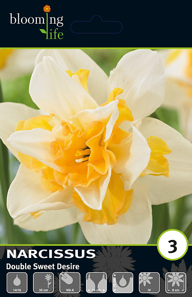 Нарцисс махровый Свит Дезир