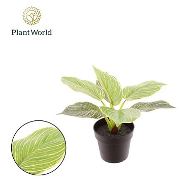 Artificial Philodendron Birkin