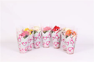 Gerbera Mix Hart Sleeve 2+