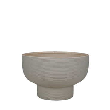 Клематис фиолетовый Эльф