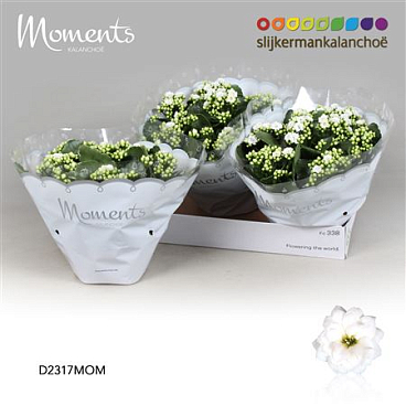 Kal Moments White
