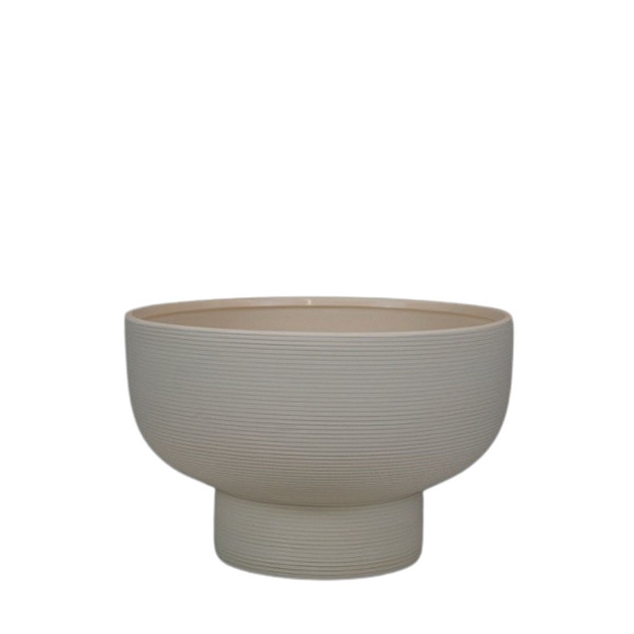 Клематис фиолетовый Эльф