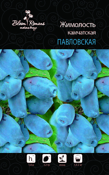 Жимолость камчатская Павловская