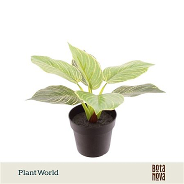 Artificial Philodendron Birkin