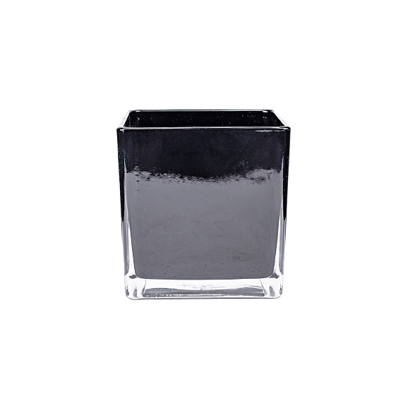 Роза плетистая Натура Силуэтта