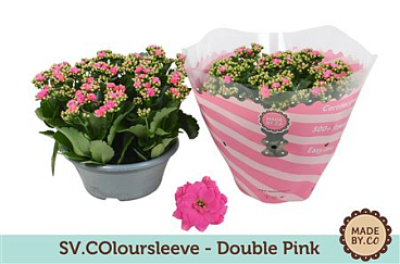 Kal Ros Pink In Bowl Sv.colour