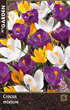 Крокус крупноцветковый Микс