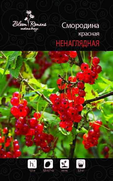 Смородина красная Ненаглядная